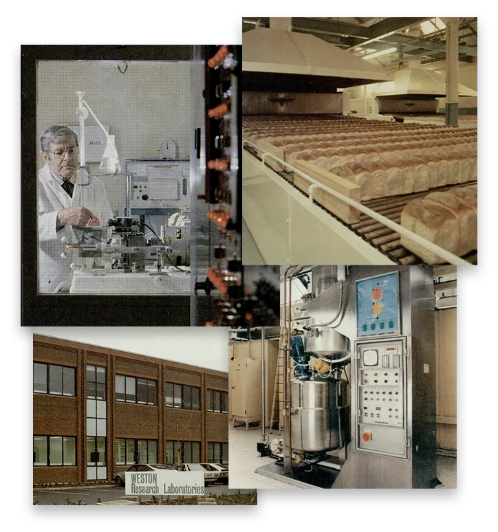 ABF begins to invest in bakery ingredients