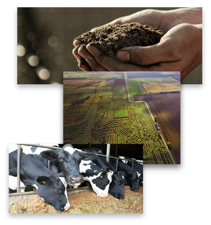 Formation of AB Agri