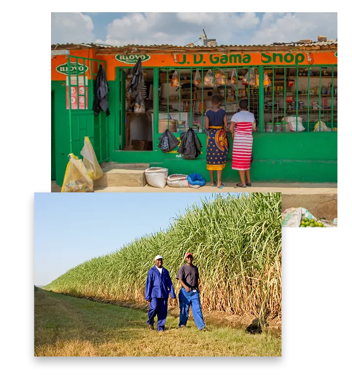 ABF acquires controlling stake in Illovo