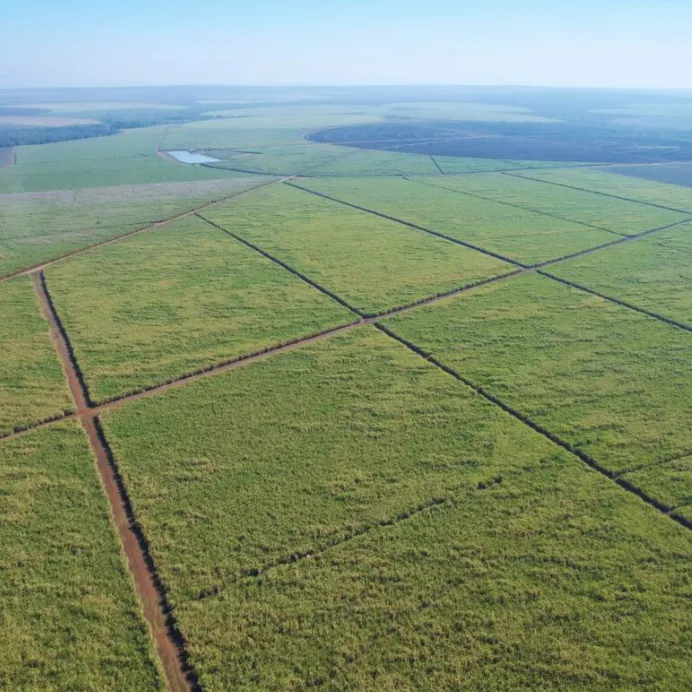 A sugar cane irrigation system at the Ubombo estate in Eswatini