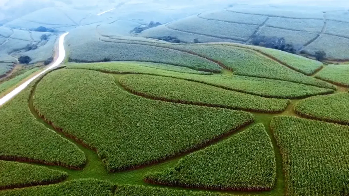 Watch the video to find out more about ABF.