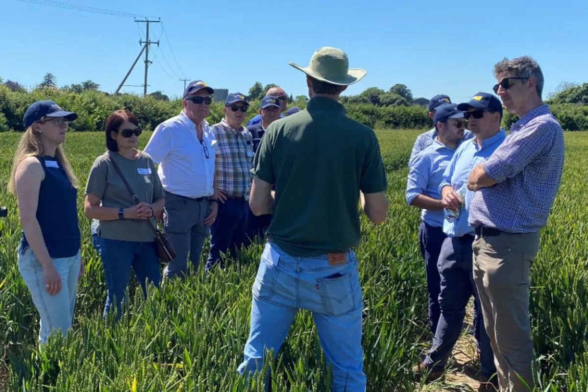 Allied Mills Wheat Sustainability Supply Project