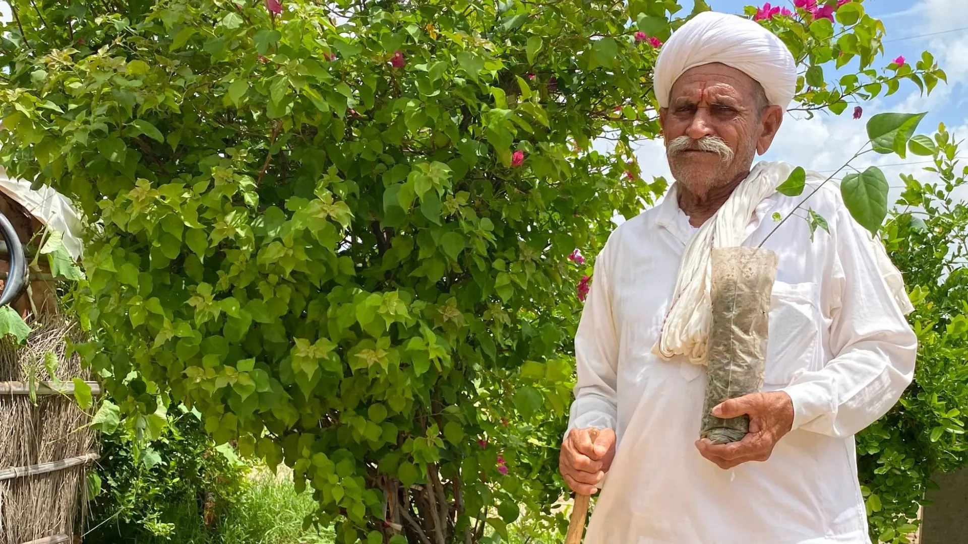 abf - grocery-group-birbal-ram