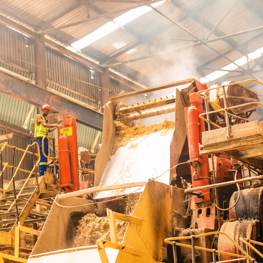 Production of the bagasse co-product at the Nakambala sugar factory, Zambia