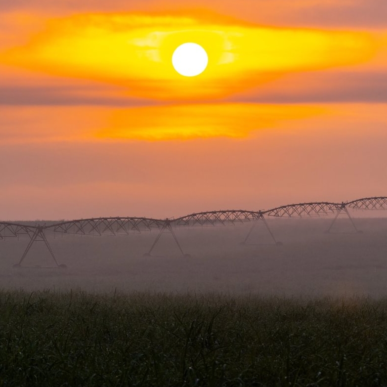 Our Group ESG governance