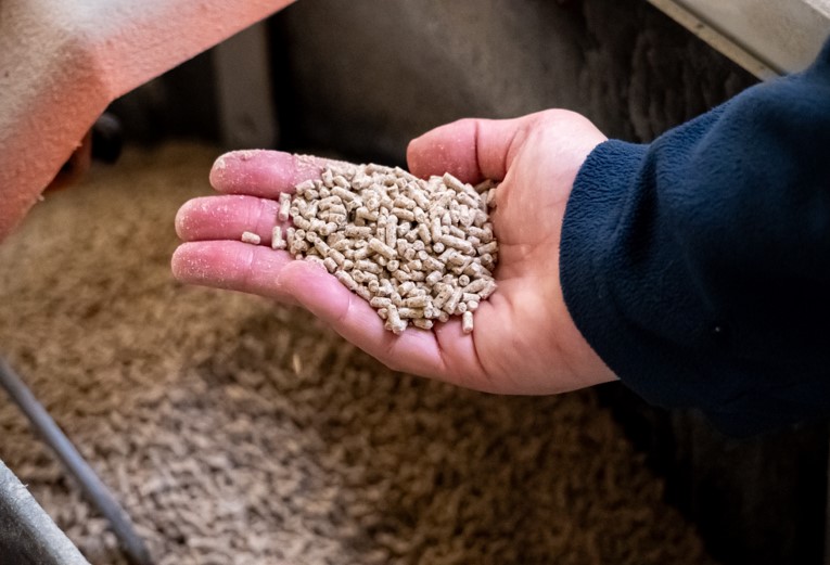 Piglet feed, AB Neo Centre of Excellence 