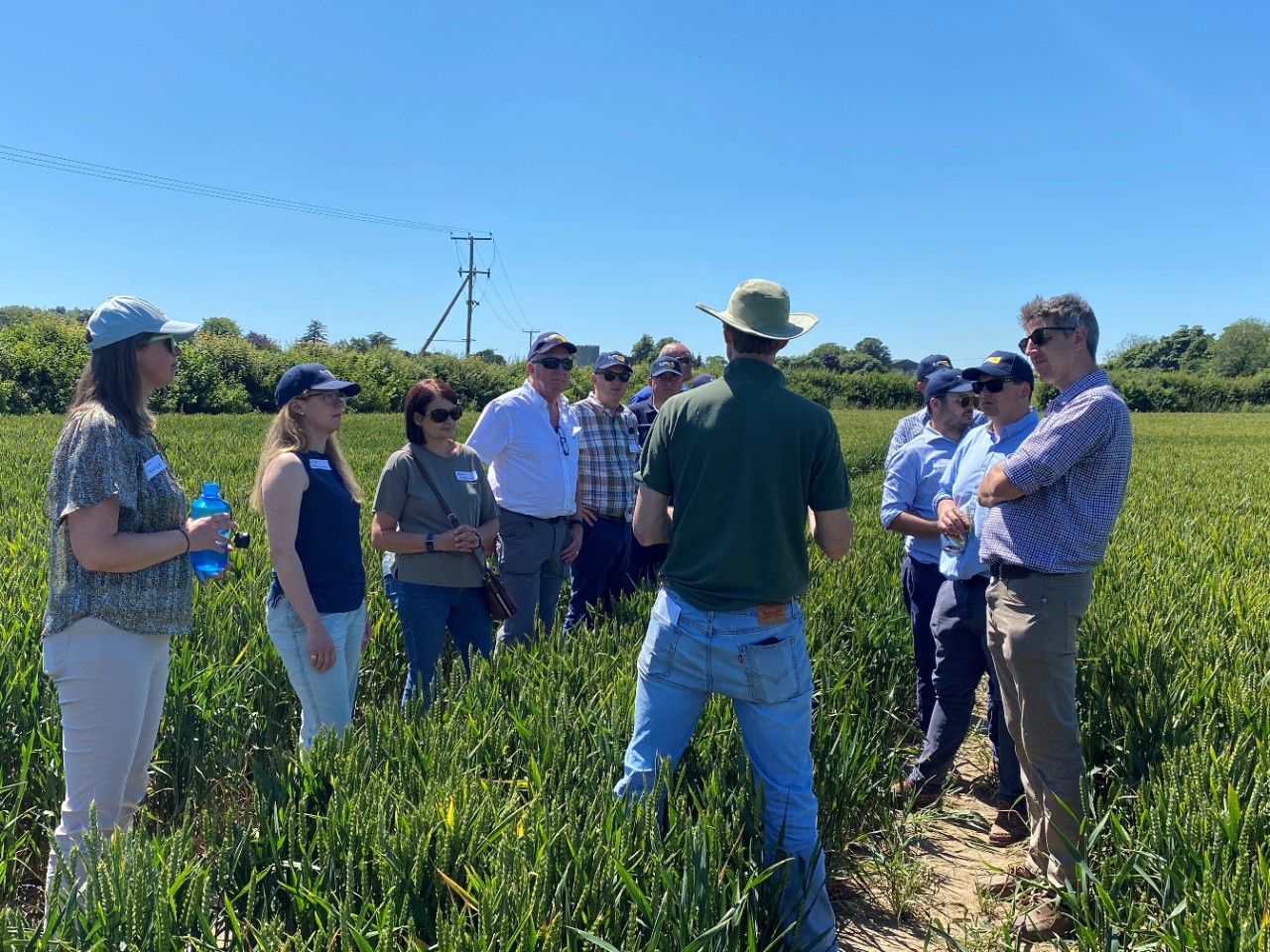 A farm in south-east England that has participated in the Wheat Sustainability Supply Project