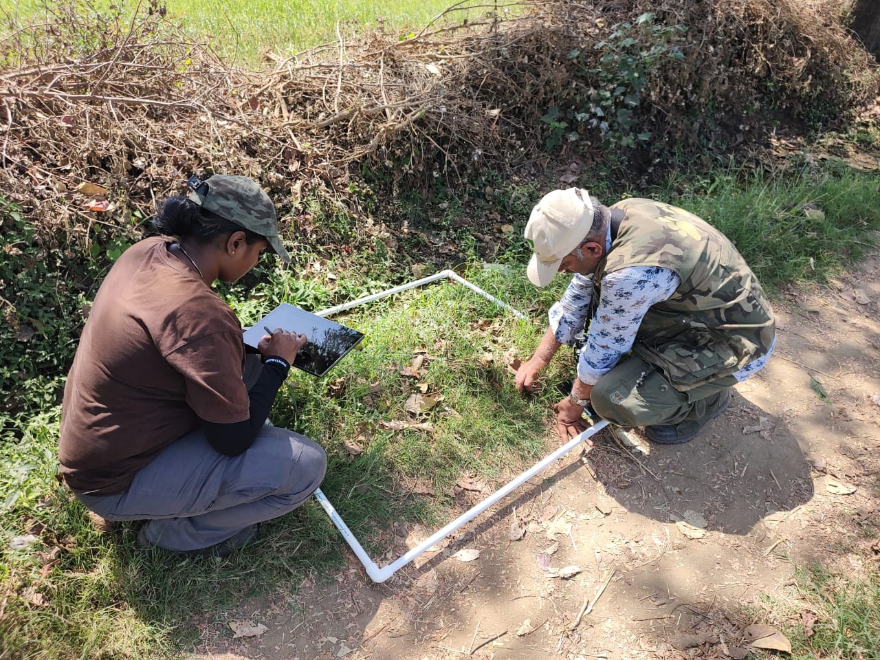 Monitoring for biodiversity on a Primark Cotton Project farm in India