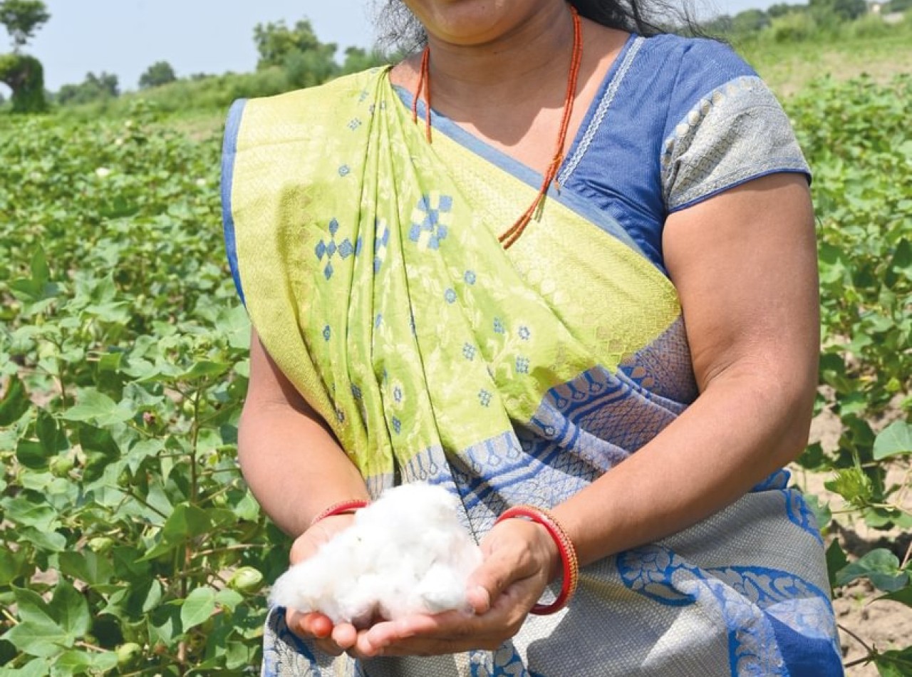 The Primark Cotton Project