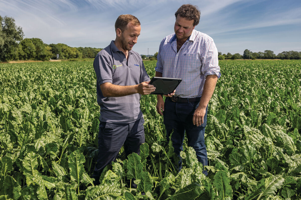 A sugar beet grower  with one of the  agricultural account  managers from  British Sugar
