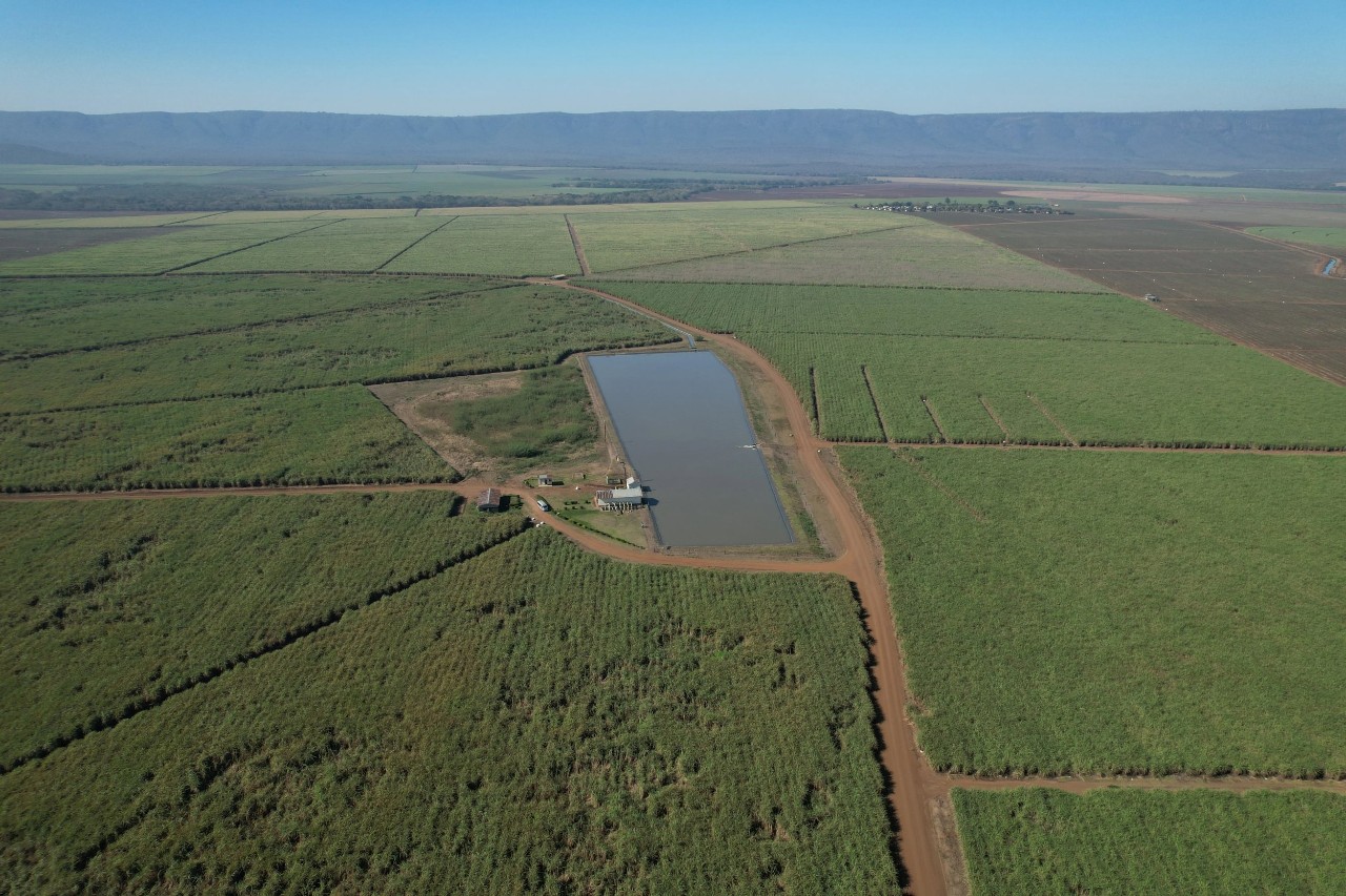 Cane fields on the Ubombo sugar estate in Eswatini
