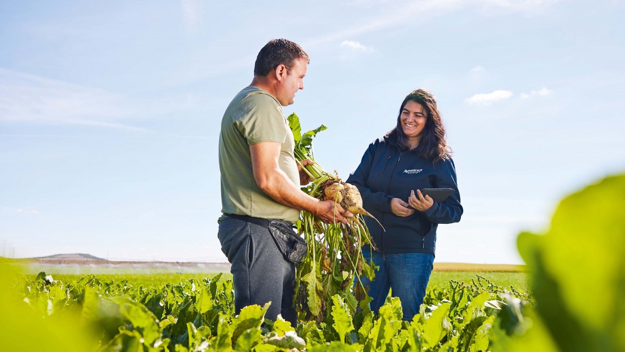 One of our Azucarera employees demonstrating the Visor crop monitoring platform to a sugar beet farmer on his farm, Spain