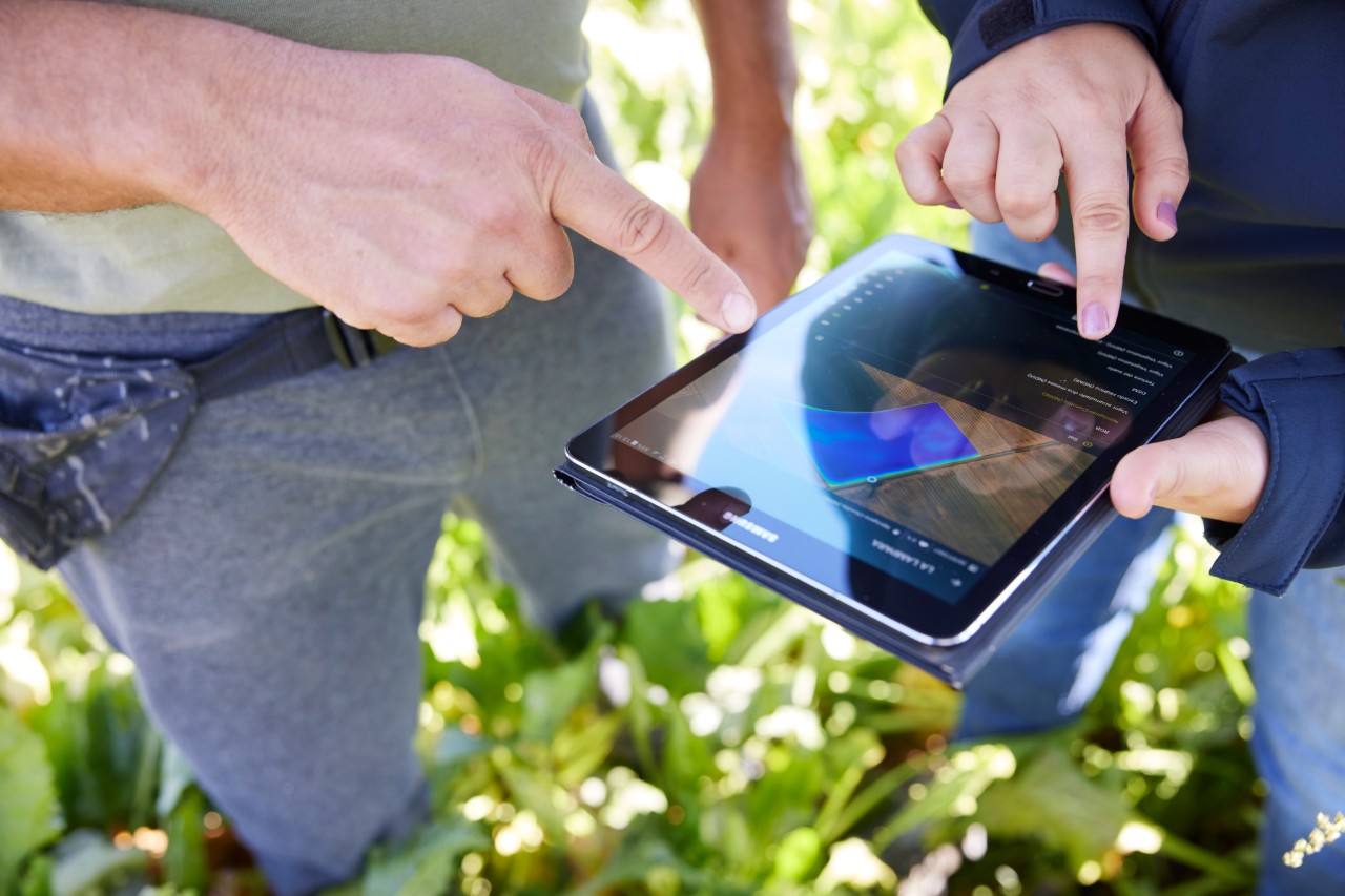 One of our Azucarera employees demonstrating the Visor crop monitoring platform to a sugar beet farmer on his farm, Spain