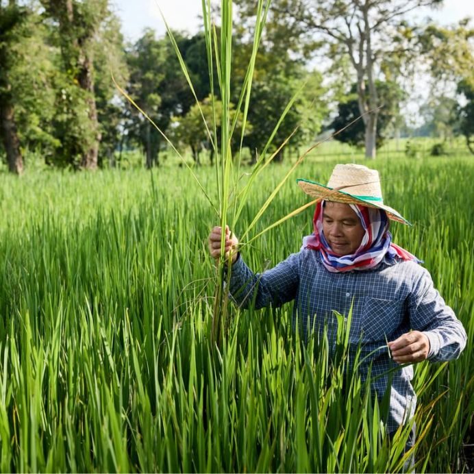 People in our supply chains and surrounding communities 