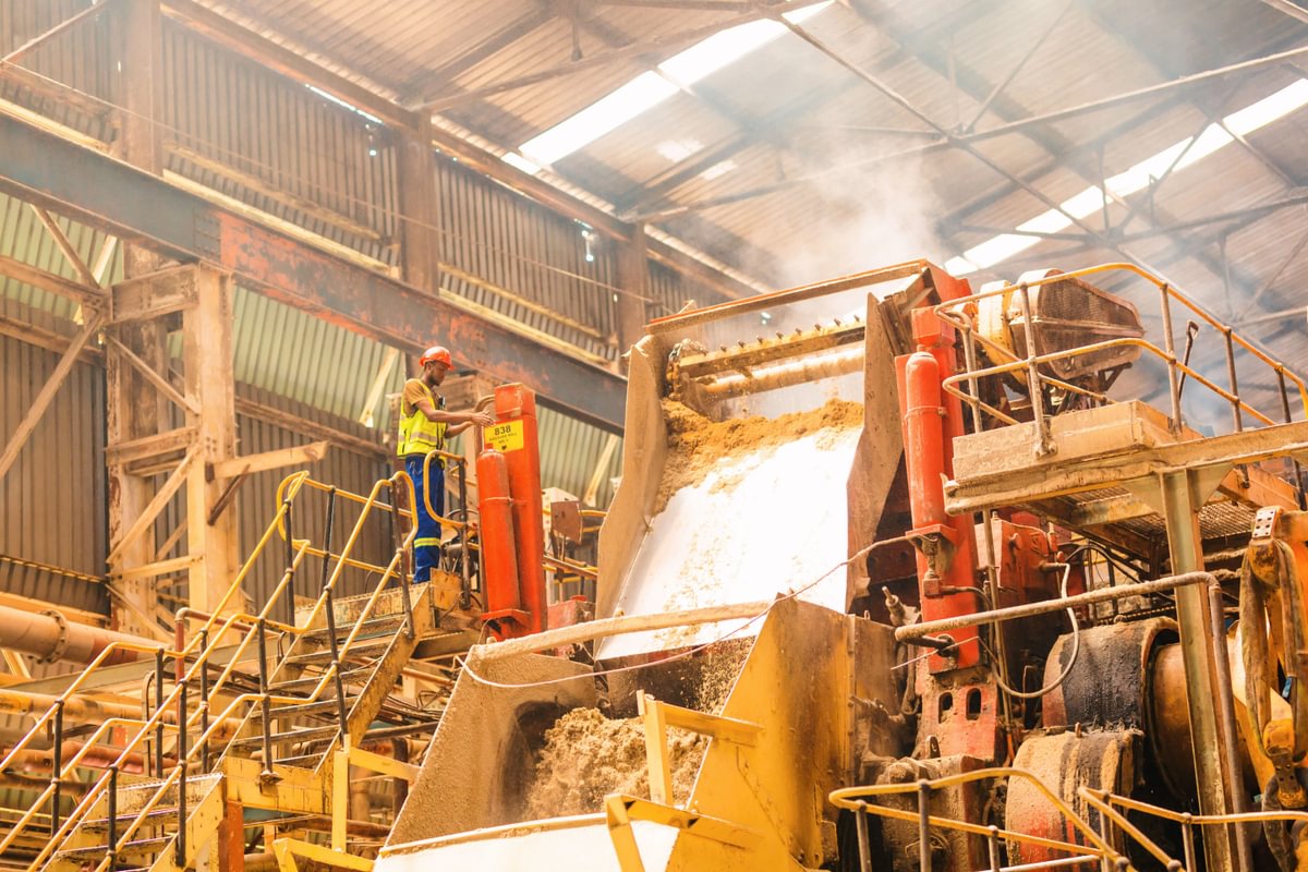 Production of the bagasse co-product at the Nakambala sugar factory in Zambia